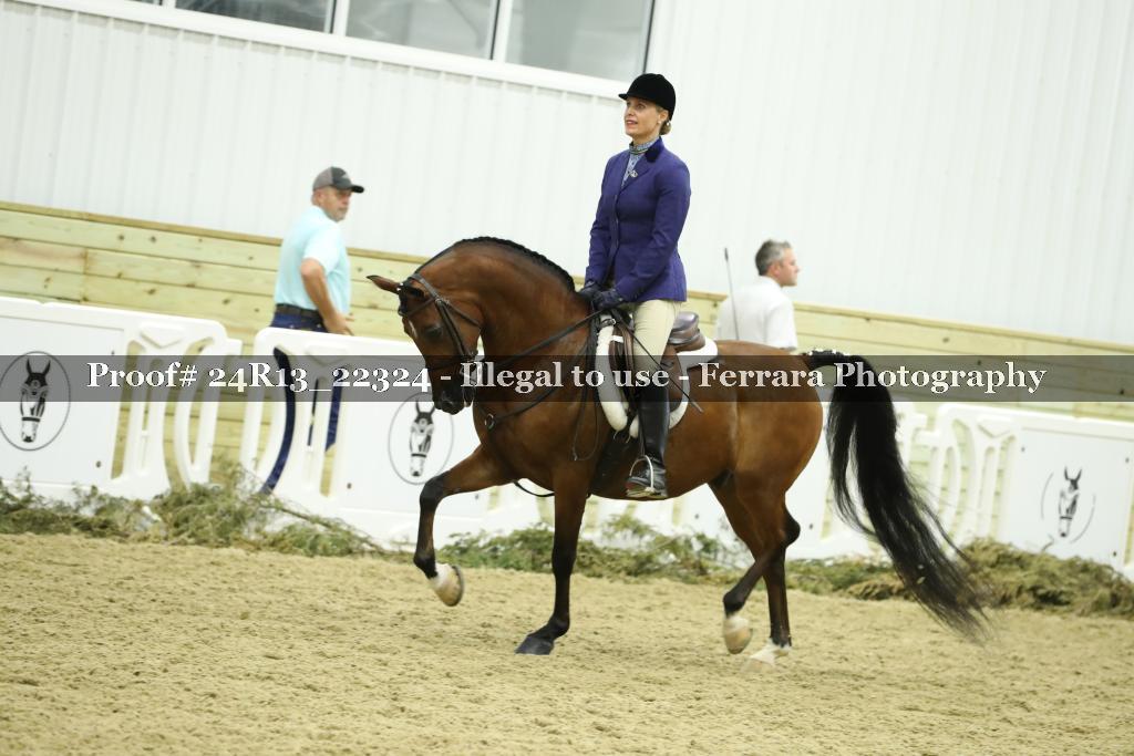 Proof Number 24R13_22324