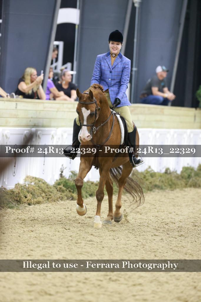 Proof Number 24R13_22329
