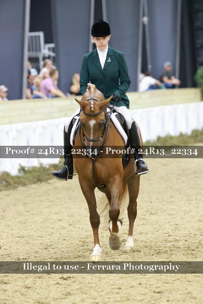 Proof Number 24R13_22334
