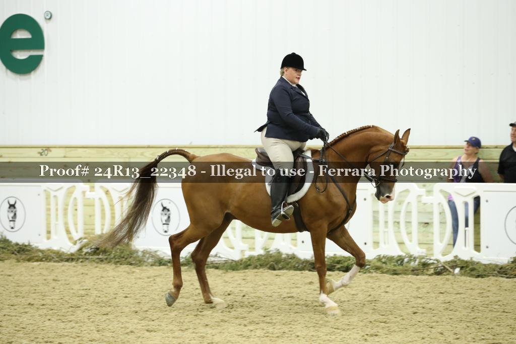 Proof Number 24R13_22348