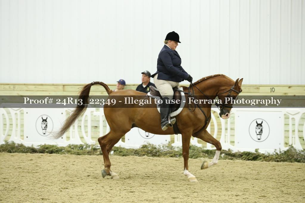 Proof Number 24R13_22349