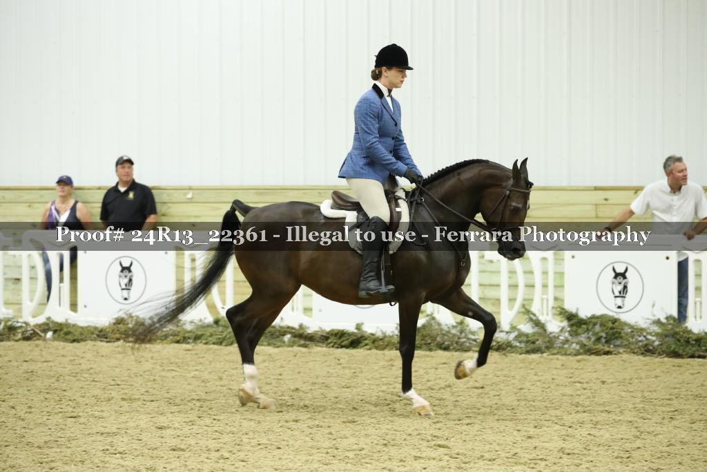 Proof Number 24R13_22361