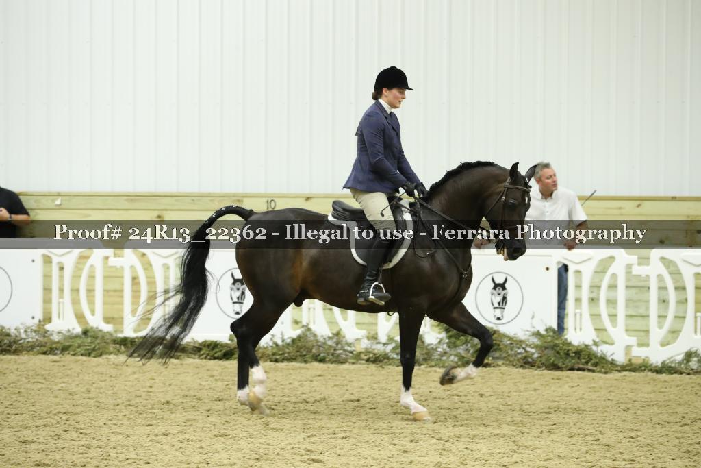 Proof Number 24R13_22362