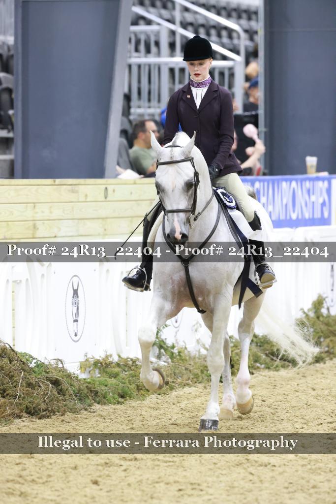 Proof Number 24R13_22404