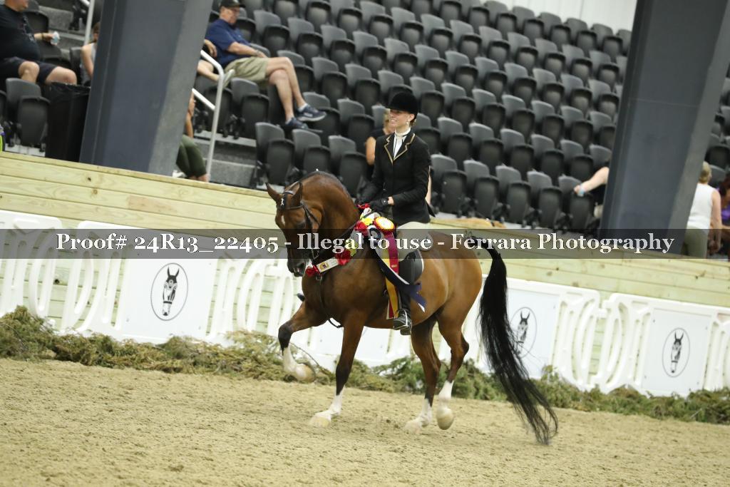 Proof Number 24R13_22405