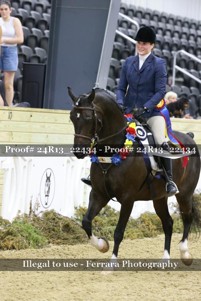 Proof Number 24R13_22434