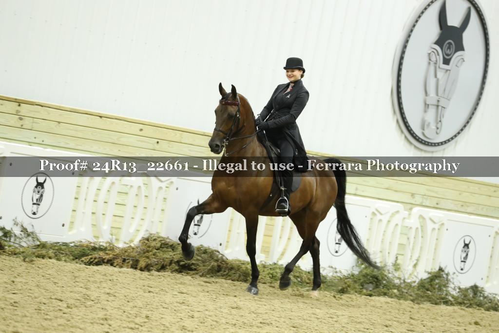 Proof Number 24R13_22661