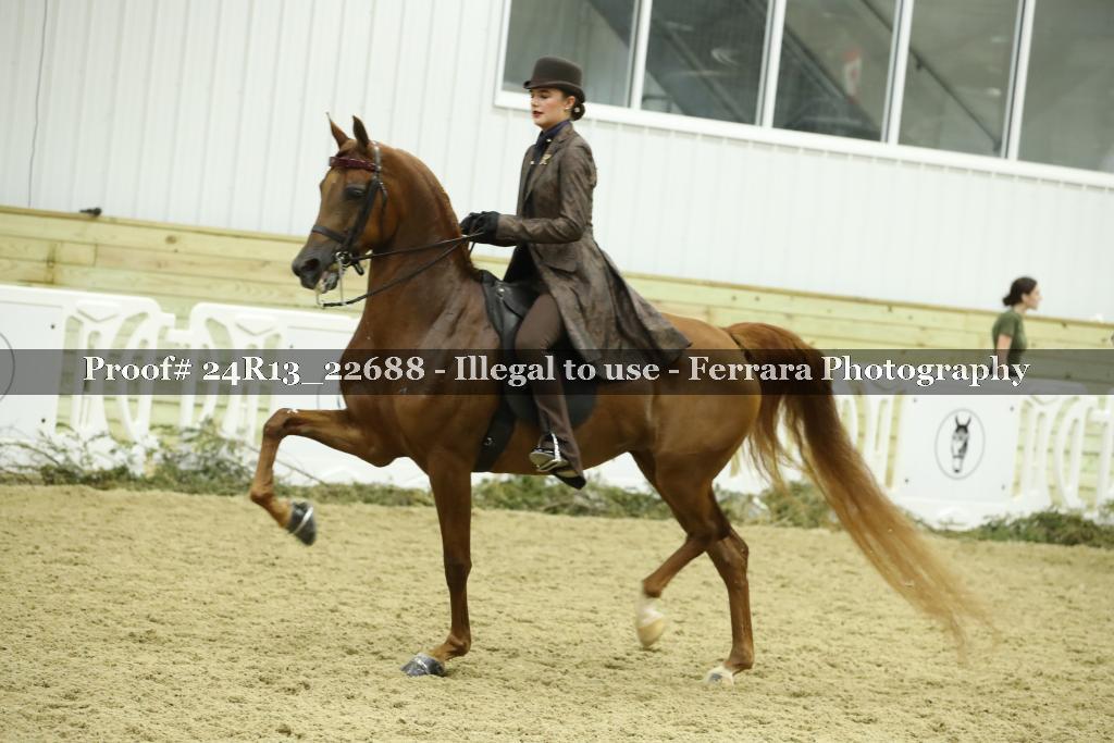 Proof Number 24R13_22688