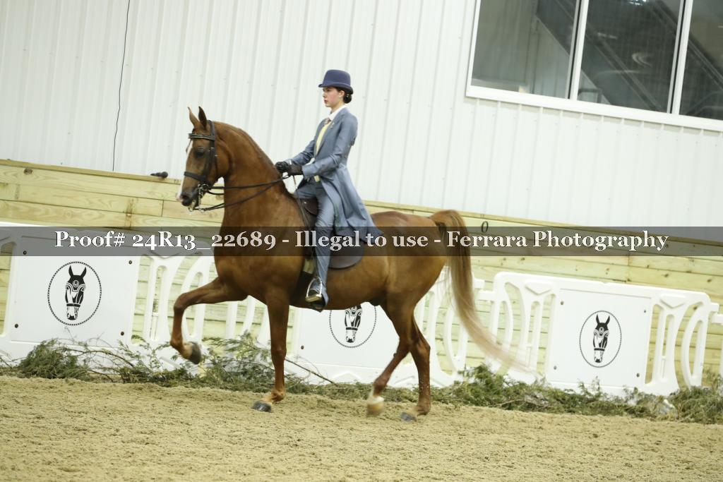 Proof Number 24R13_22689