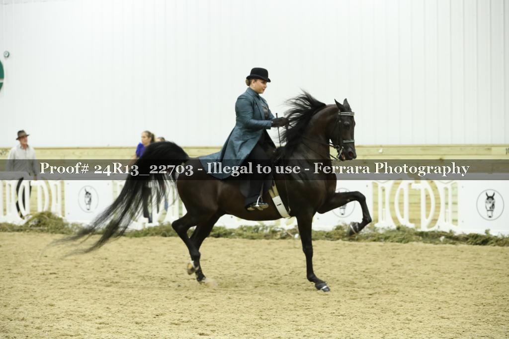 Proof Number 24R13_22703
