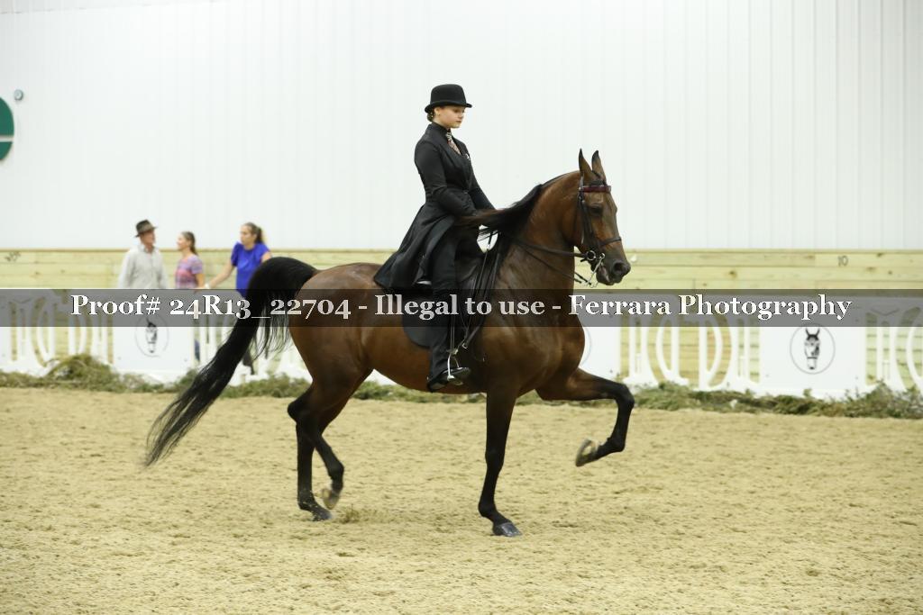 Proof Number 24R13_22704