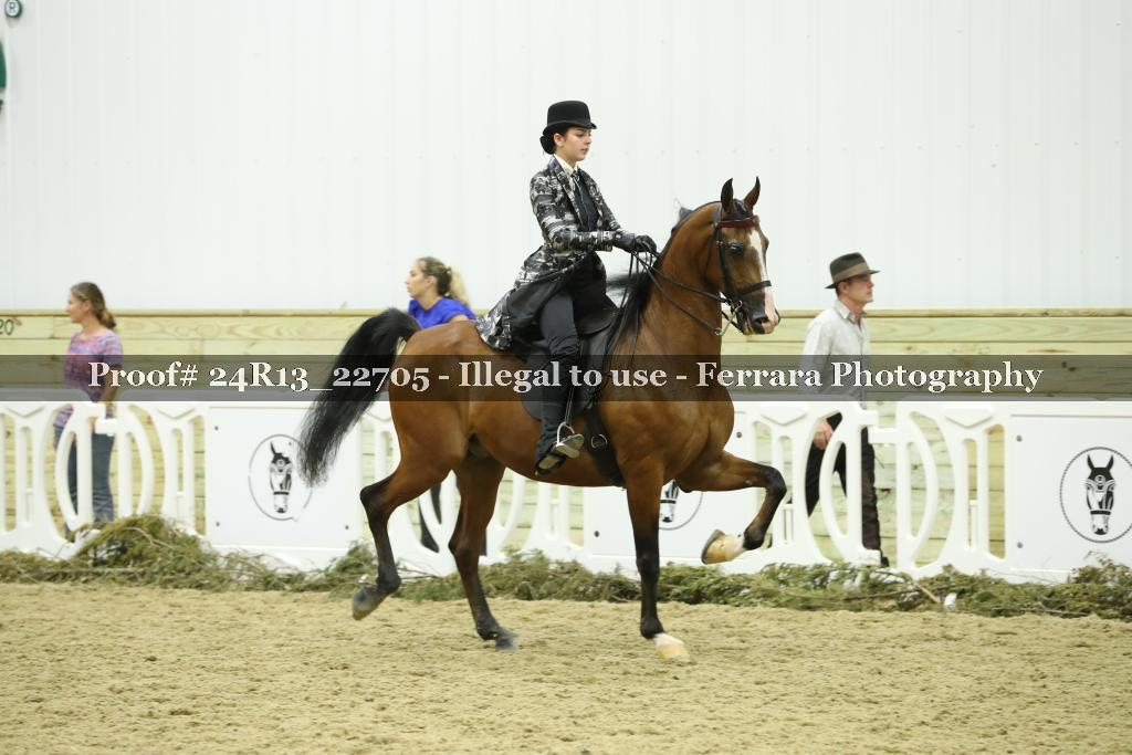 Proof Number 24R13_22705