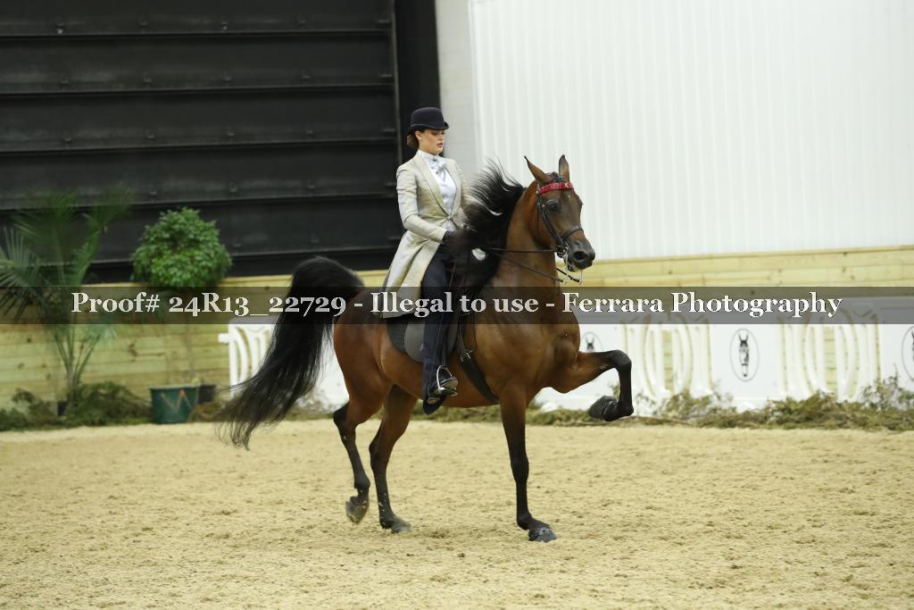 Proof Number 24R13_22729