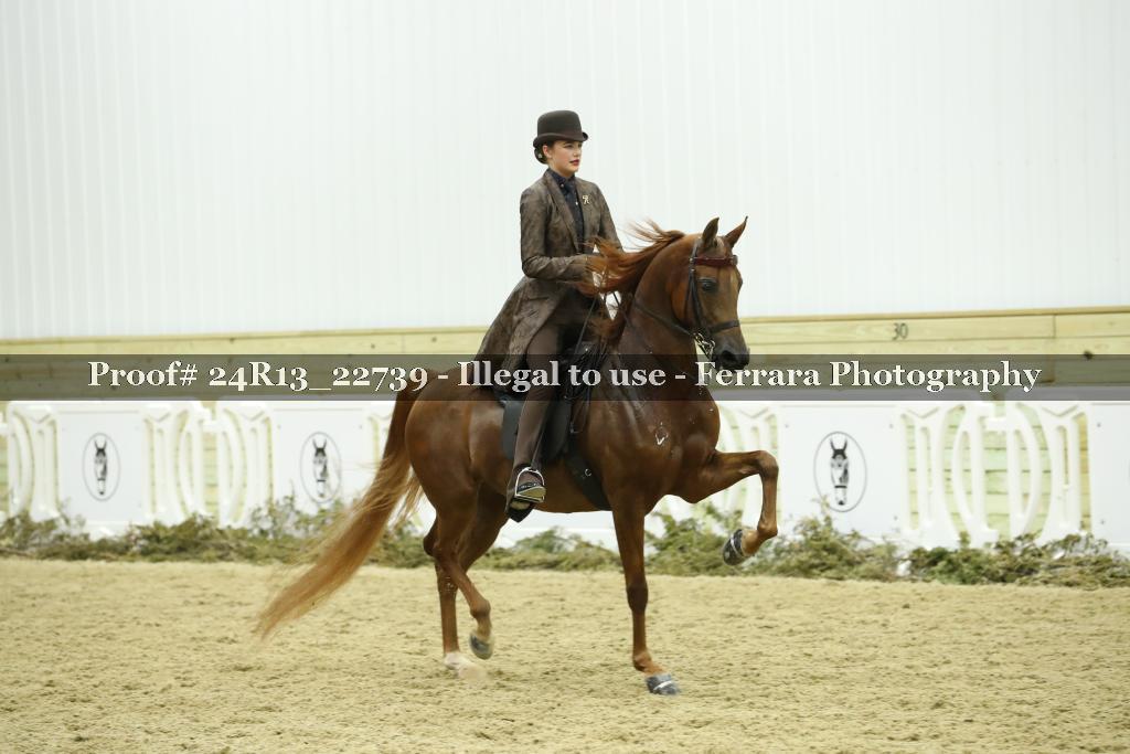 Proof Number 24R13_22739
