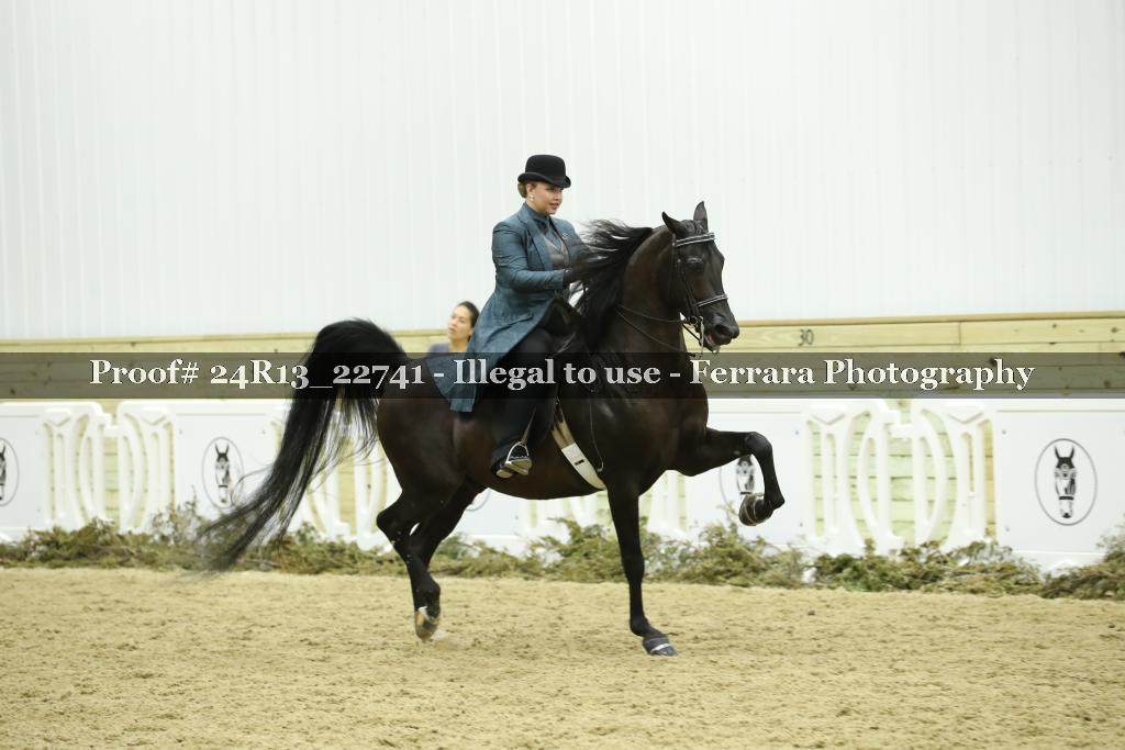 Proof Number 24R13_22741