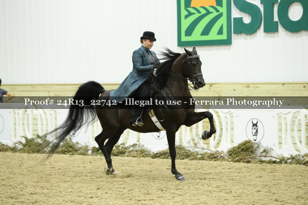 Proof Number 24R13_22742