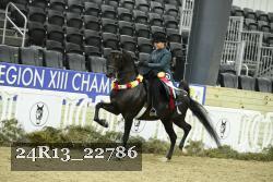 24R13_22786 thumbnail