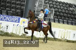 24R13_22797 thumbnail