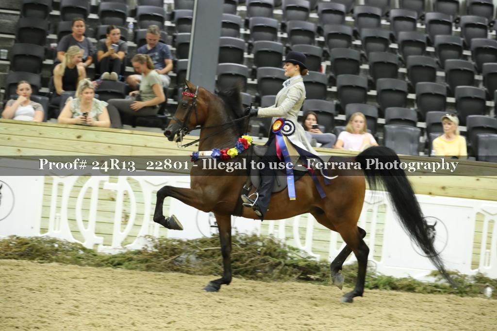Proof Number 24R13_22801