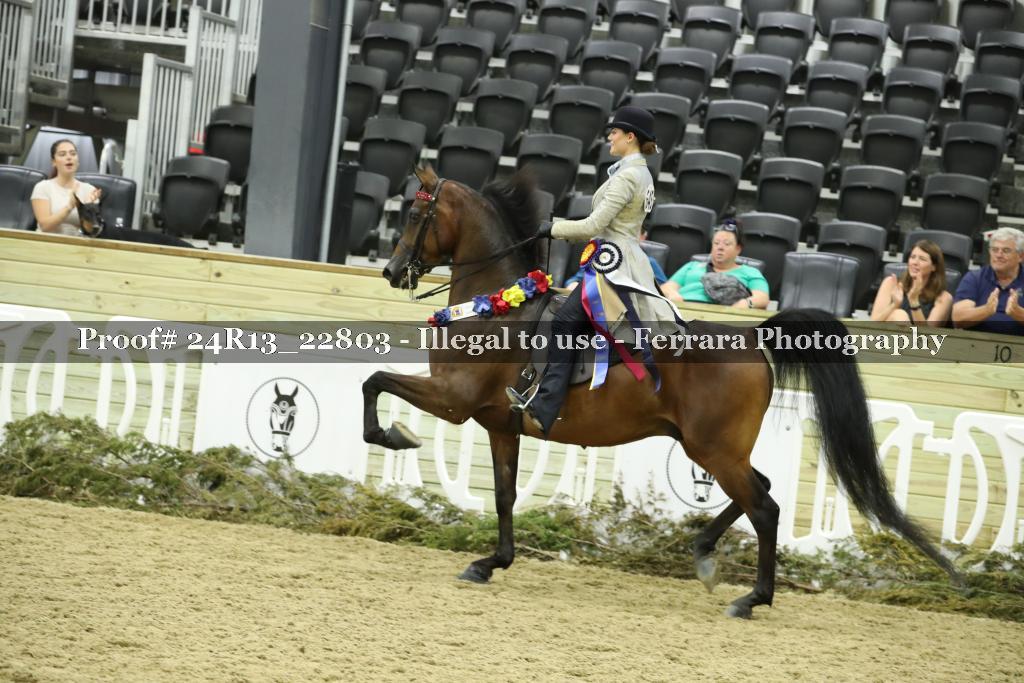 Proof Number 24R13_22803