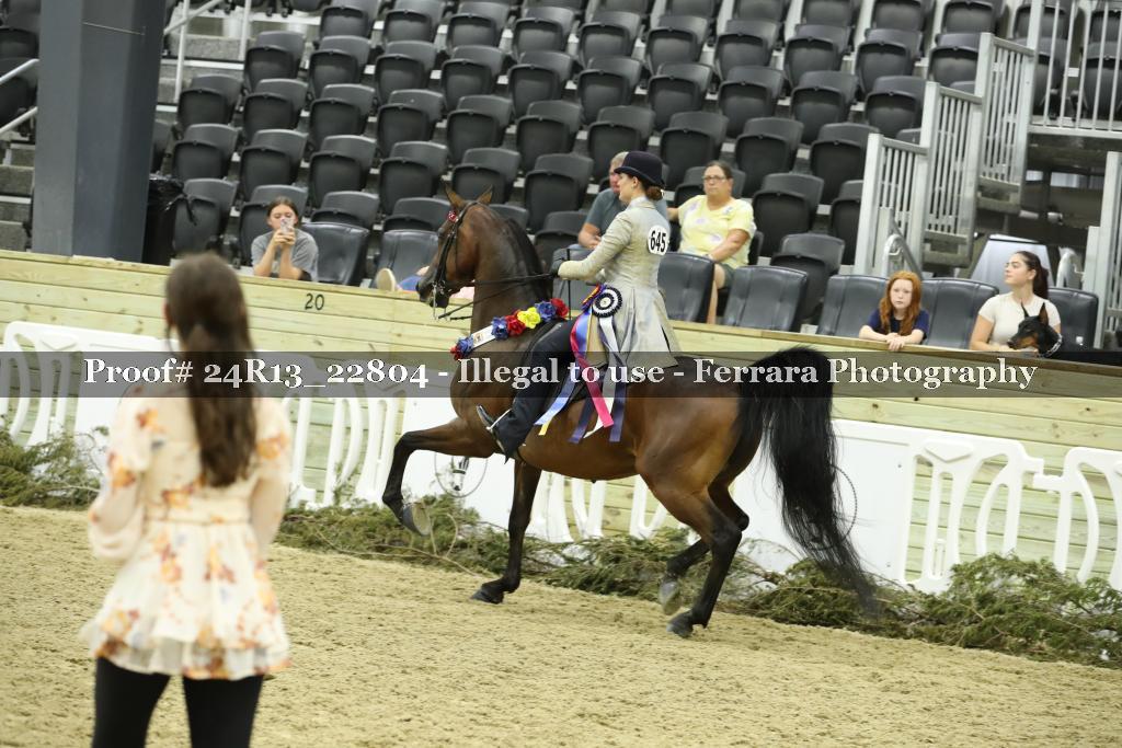 Proof Number 24R13_22804