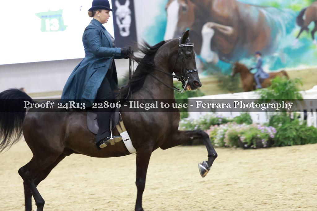 Proof Number 24R13_22806