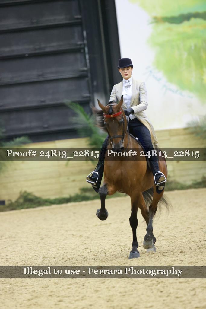 Proof Number 24R13_22815