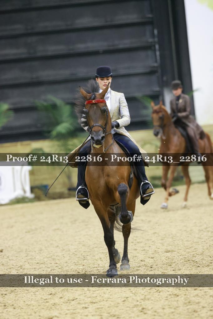 Proof Number 24R13_22816