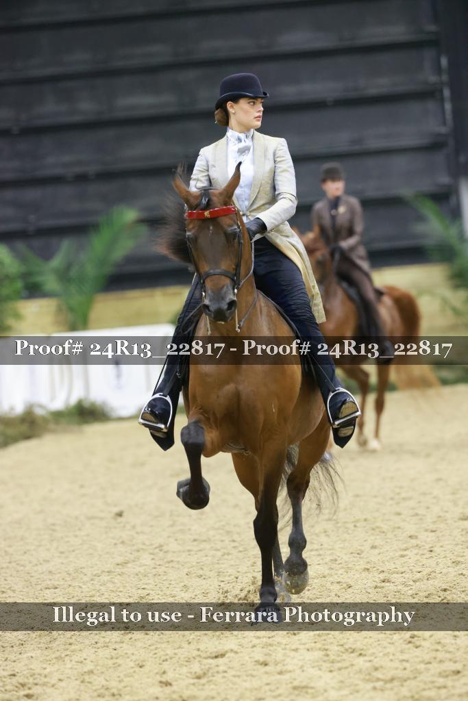 Proof Number 24R13_22817