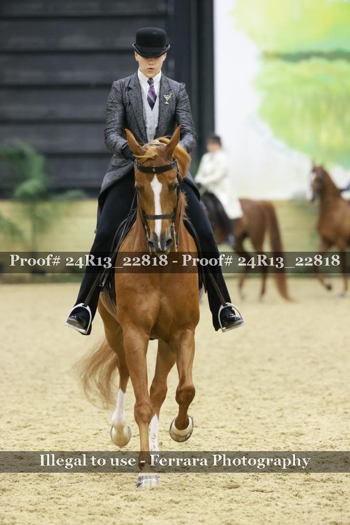 Proof Number 24R13_22818