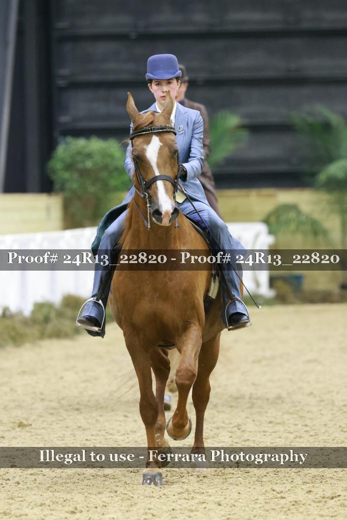 Proof Number 24R13_22820