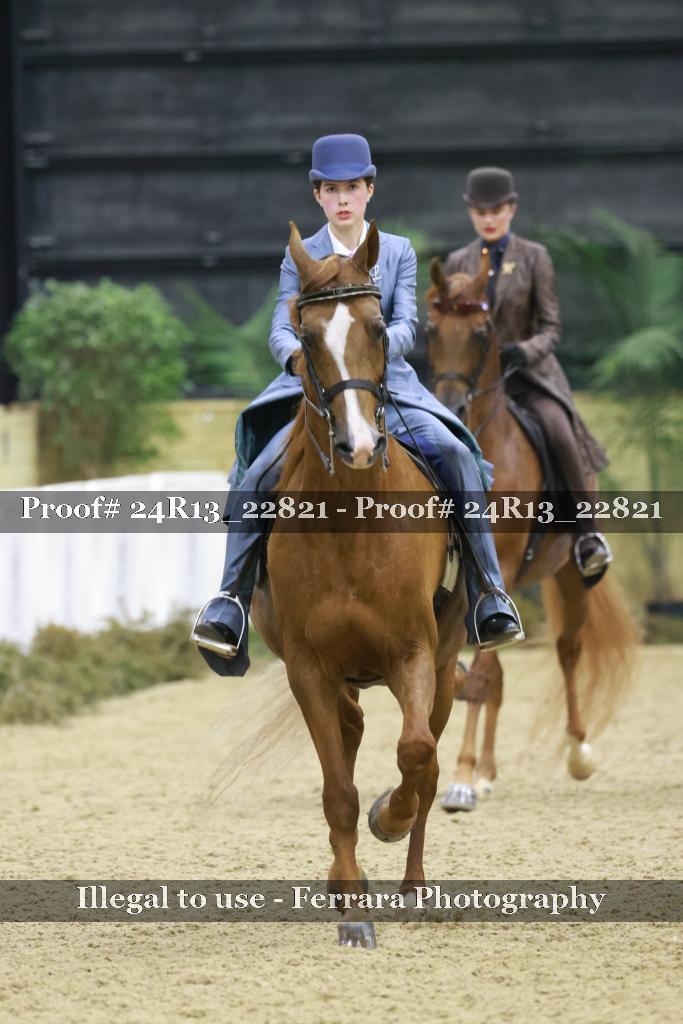 Proof Number 24R13_22821