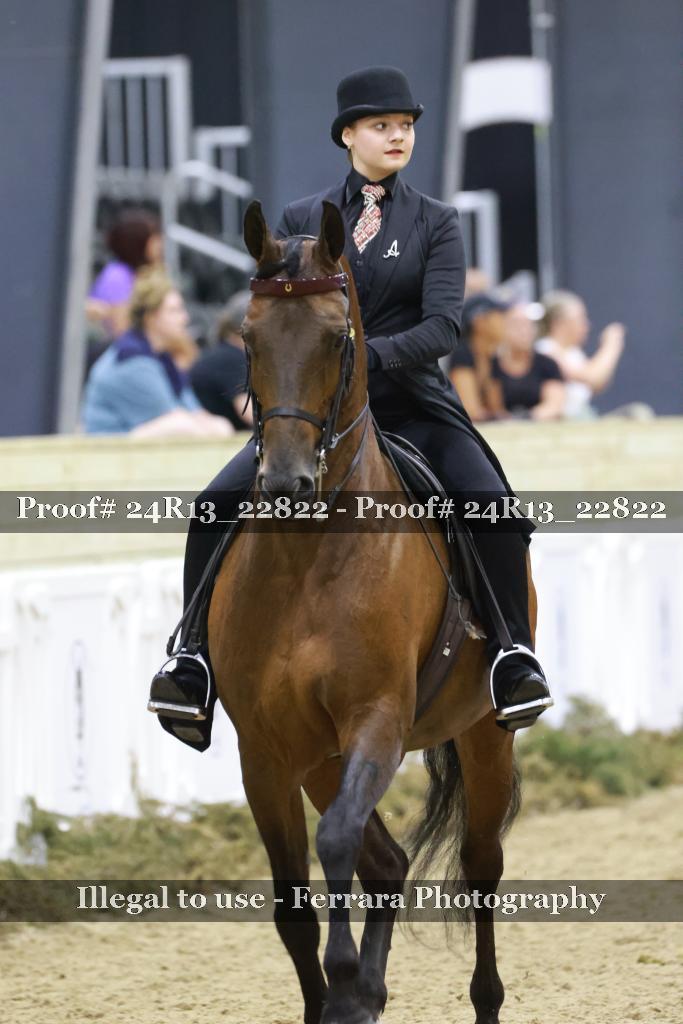 Proof Number 24R13_22822