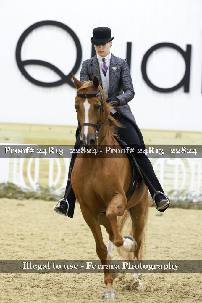 Proof Number 24R13_22824