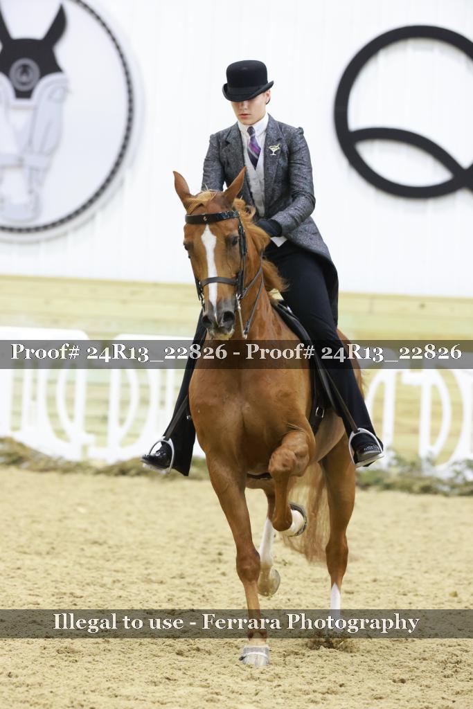 Proof Number 24R13_22826