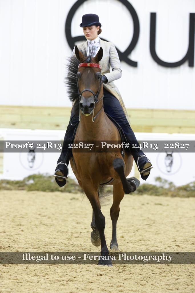 Proof Number 24R13_22827