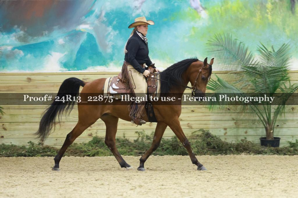 Proof Number 24R13_22875