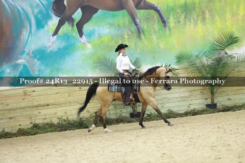 Proof Number 24R13_22915