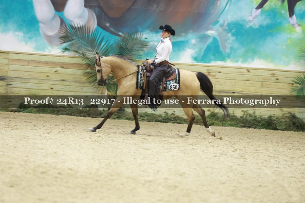 Proof Number 24R13_22917