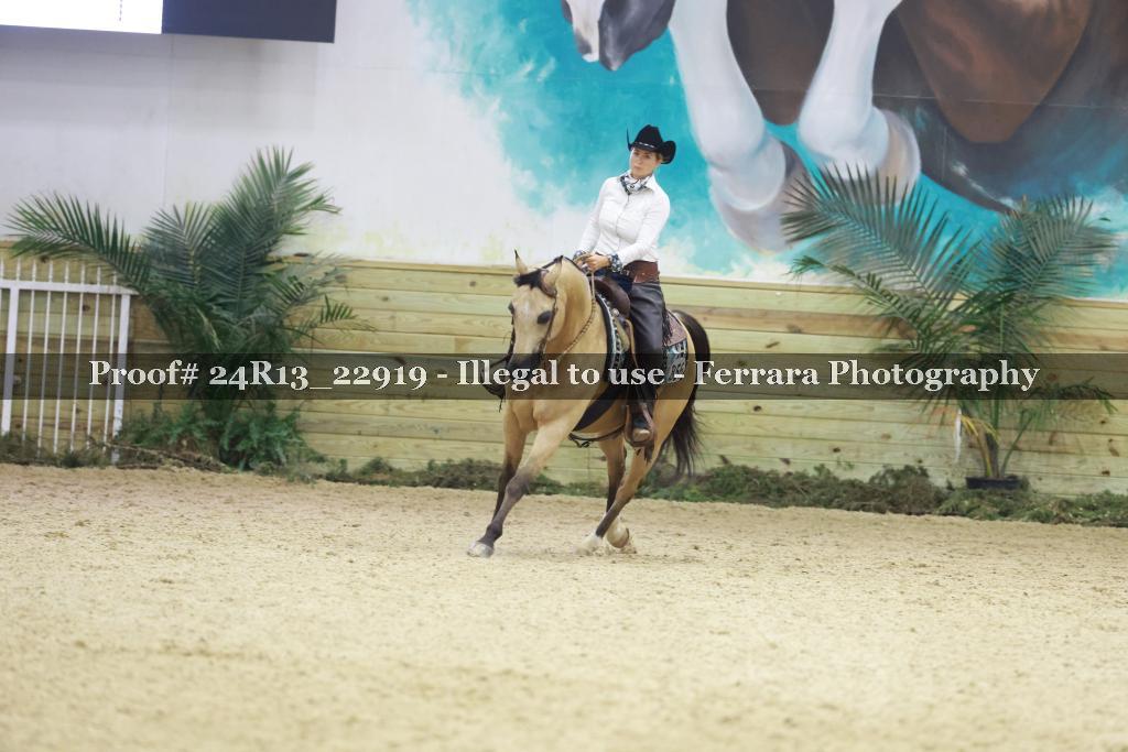 Proof Number 24R13_22919