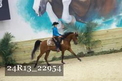 24R13_22954 thumbnail