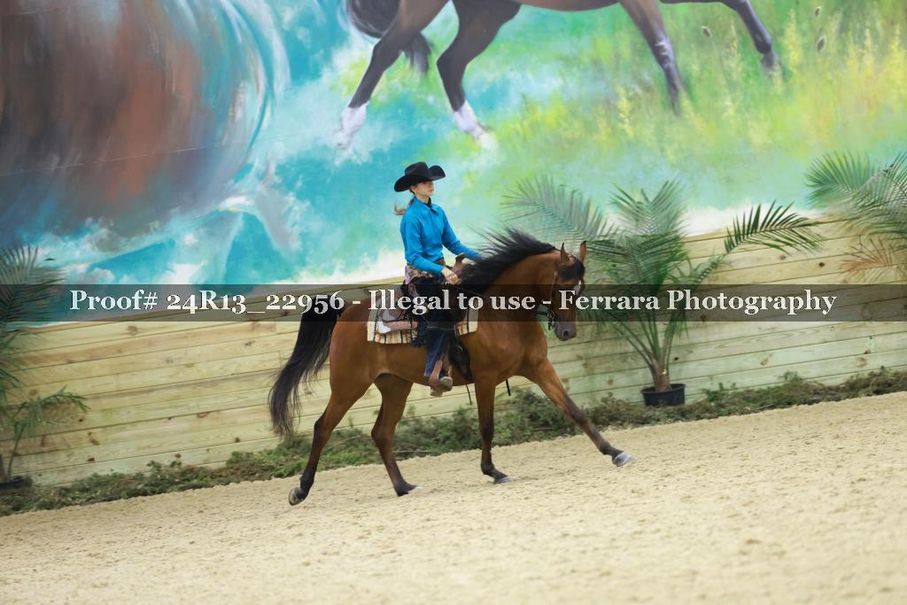 Proof Number 24R13_22956