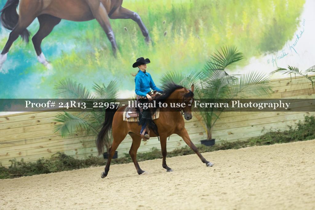 Proof Number 24R13_22957
