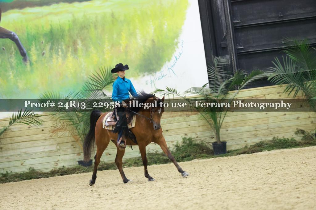 Proof Number 24R13_22958