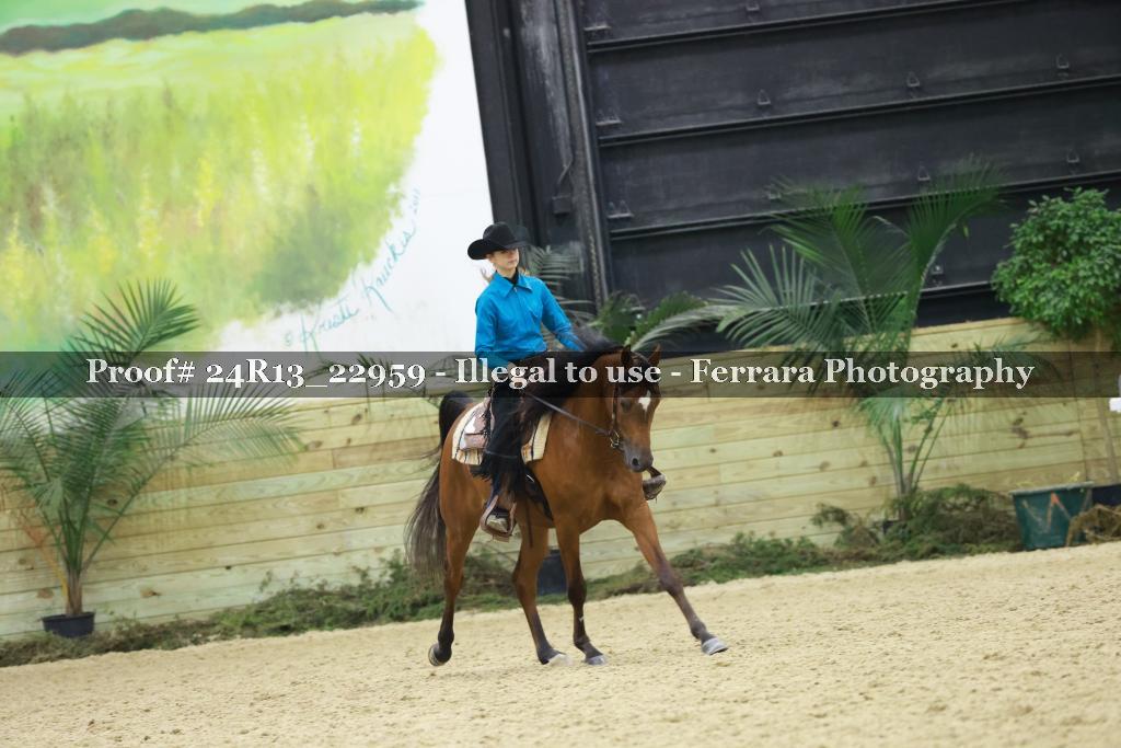 Proof Number 24R13_22959