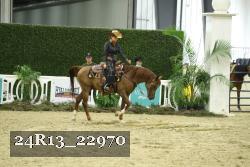 24R13_22970 thumbnail