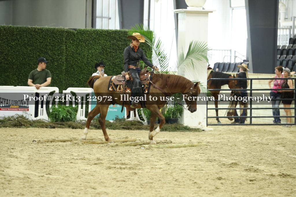 Proof Number 24R13_22972