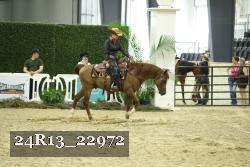 24R13_22972 thumbnail