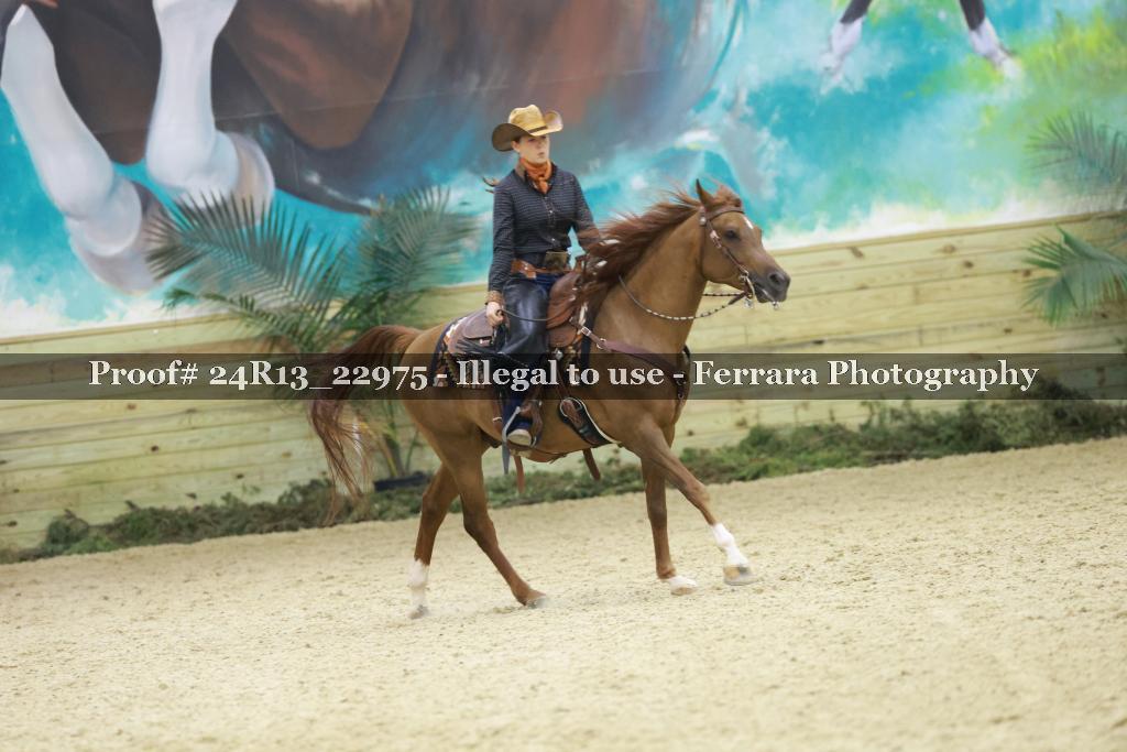 Proof Number 24R13_22975