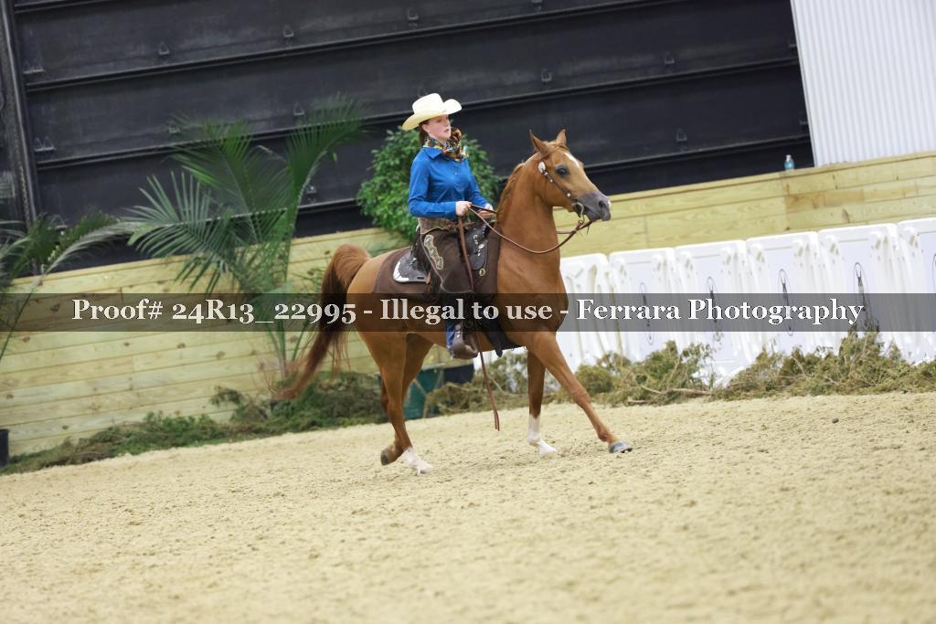 Proof Number 24R13_22995